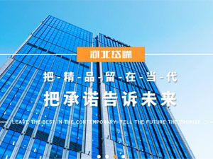 河北岱嶸建設(shè)有限公司，與我公司簽署網(wǎng)站建設(shè)合同